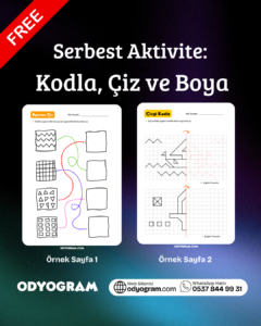 Serbest Aktivite:  Kodla, Çiz ve Boya