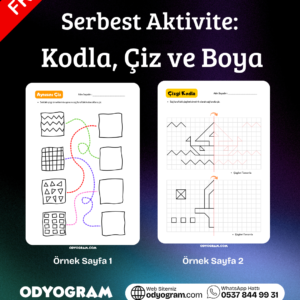 Serbest Aktivite:  Kodla, Çiz ve Boya