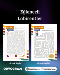 Eğlenceli Labirentler