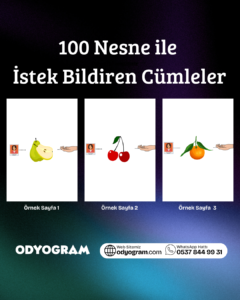 100 Nesne ile İstek Bildiren Cümleler