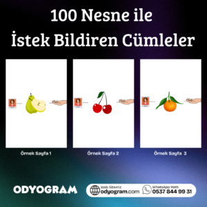 100 Nesne ile İstek Bildiren Cümleler